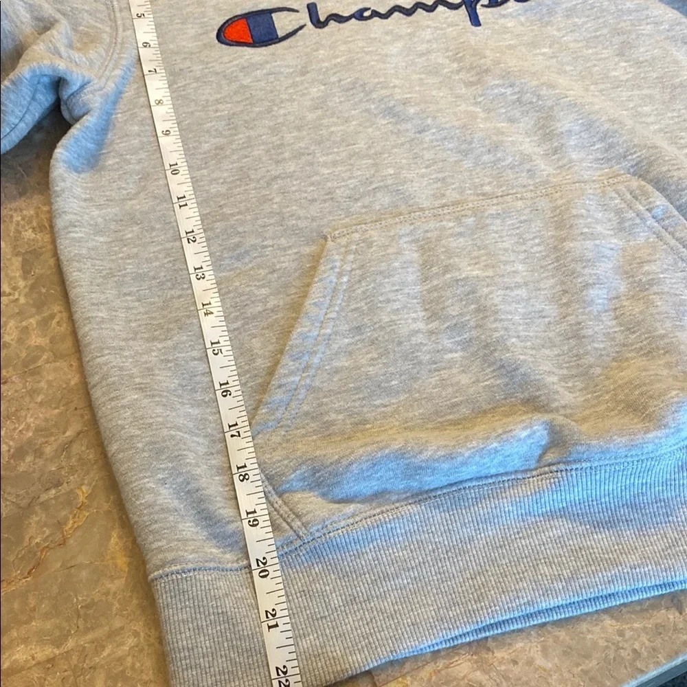Champion Gray Sweater Classic Athletic Design